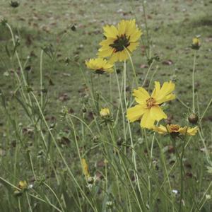 在线综合亚洲欧美网站
