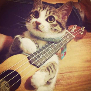 在线综合亚洲欧美网站
