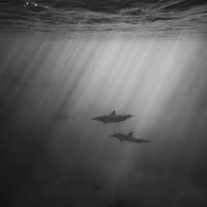 在线综合亚洲欧美网站
